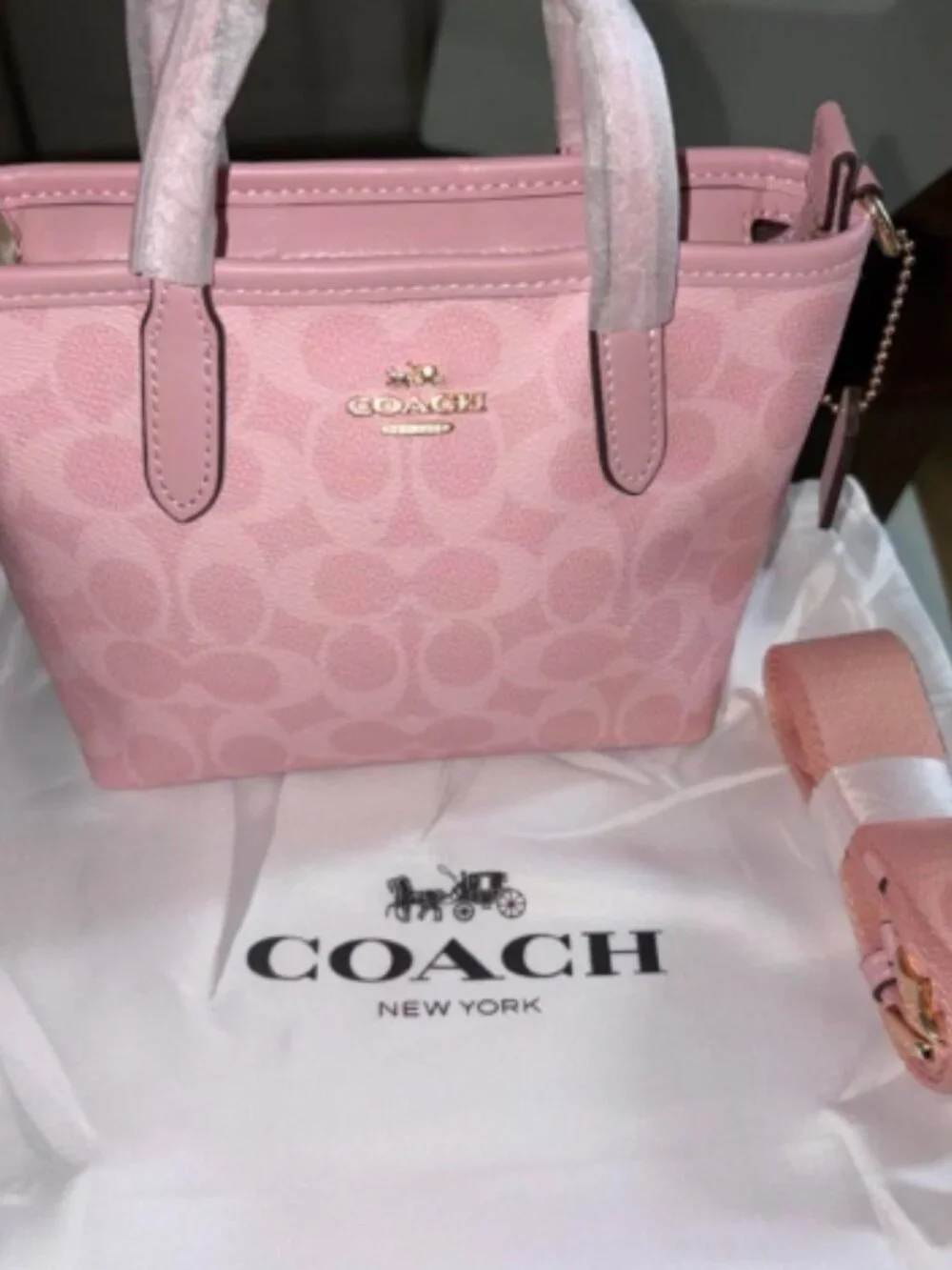Coach City Mini Tote Bag In Signature Canvas in powder pink